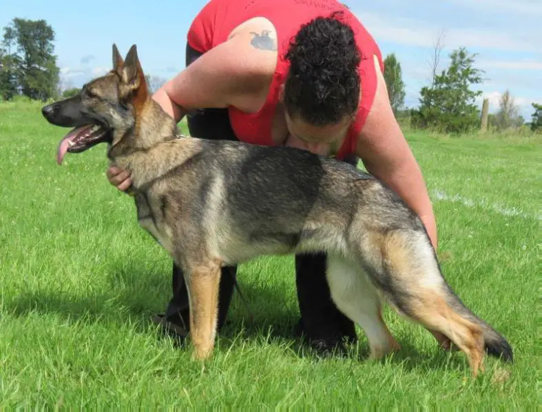 Justice vom Haus Weinbrand