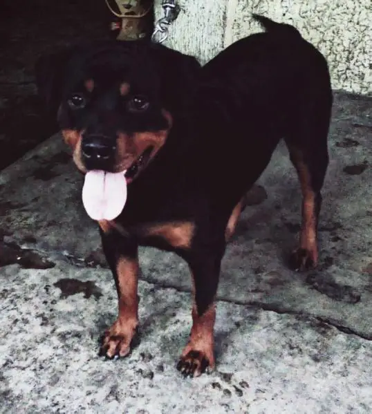 Jasmine Of Max Cooper