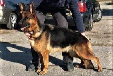 V Essi Żabieńska Zagroda