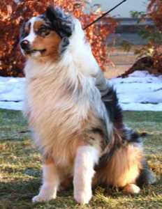 Countrywoods My Bad Clyde