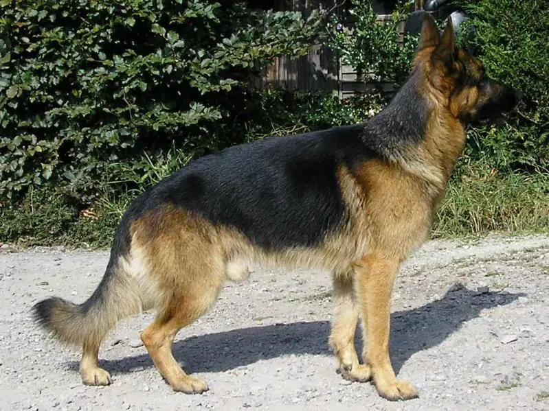 Horatio Nelson from Bygoly