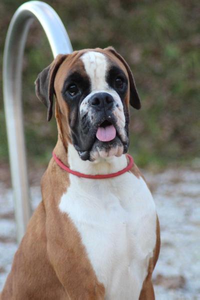 Esna del Cuore Grande