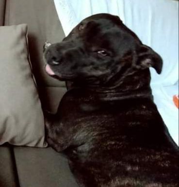 NS HH Sacrata Foresta