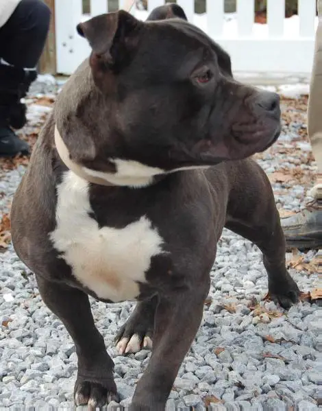 Ghost of Major Payne