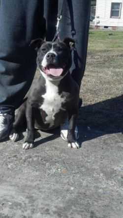 Chain Reactions Trinity