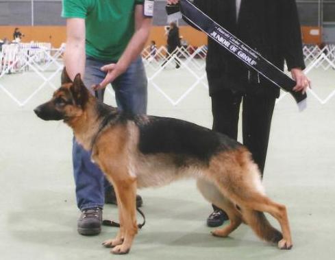 Rahkantra Lady Loves to Tango