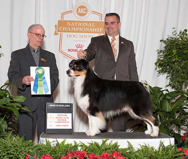 GCH Shadomoons Eclipse The Rest
