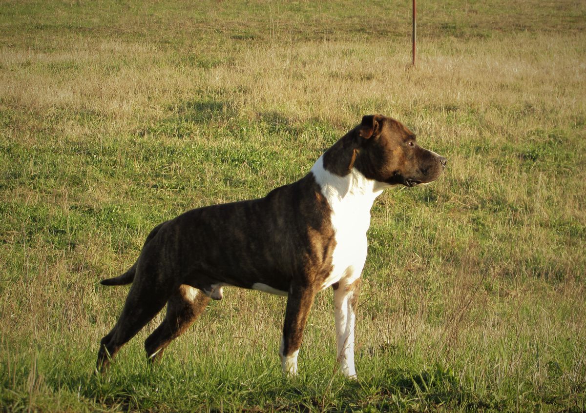 Soul Felt Merrimack River