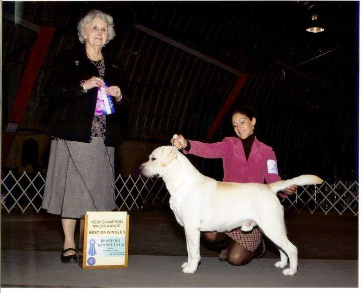 CH Shiloh's ICAN Stir Up The Fire