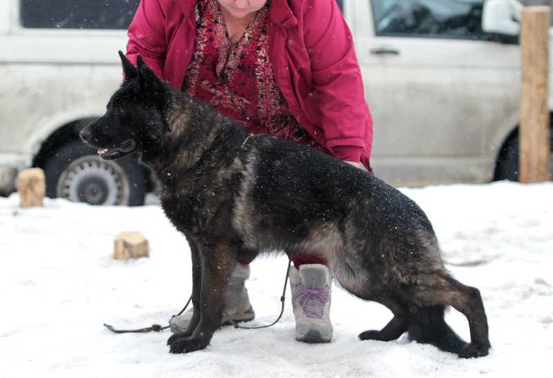 Zilber Vasserfal Fellini