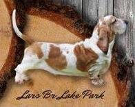 Lars BR Lake Park