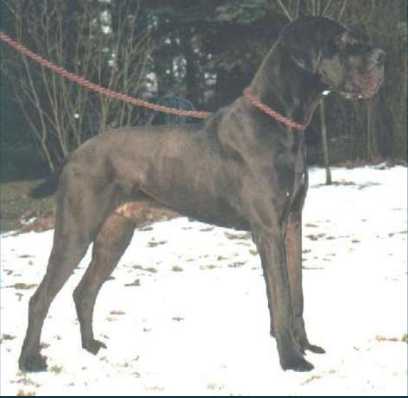 Nico von der Stadt Lüneburg