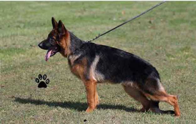 SG9, BH Server Von Bad-Boll