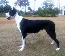 Breken Shaken Not Stirred