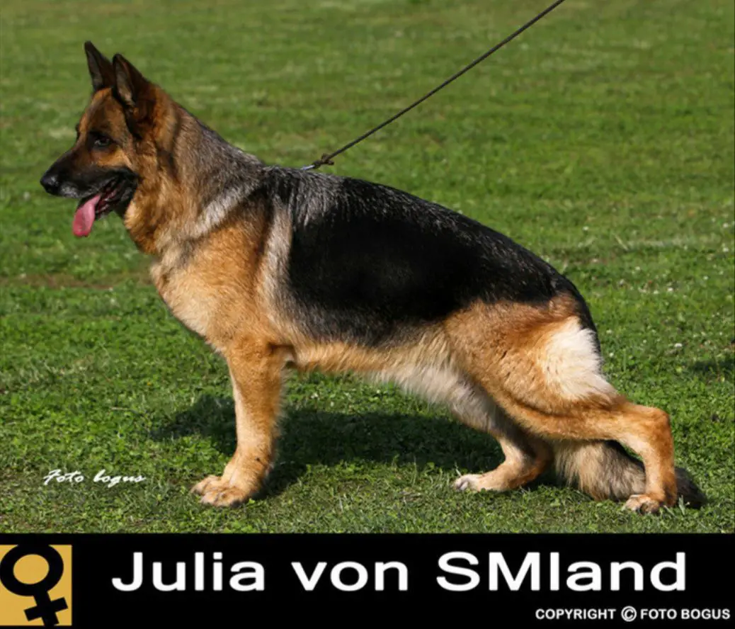 V1(Kor) Julia von Smland