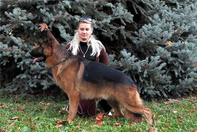 JCH UZ, CH UZ, CH KZ Zilber Wasserfal Holiday