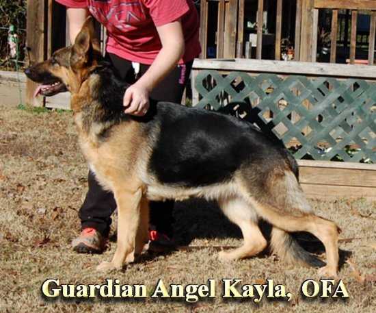 Guardian Angel Kayla