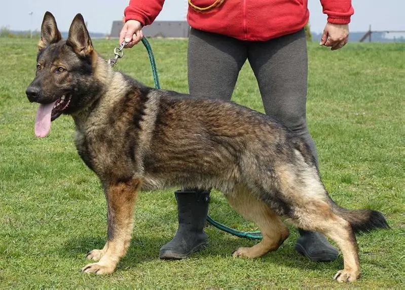 Denn z Hudánkovy zahrady