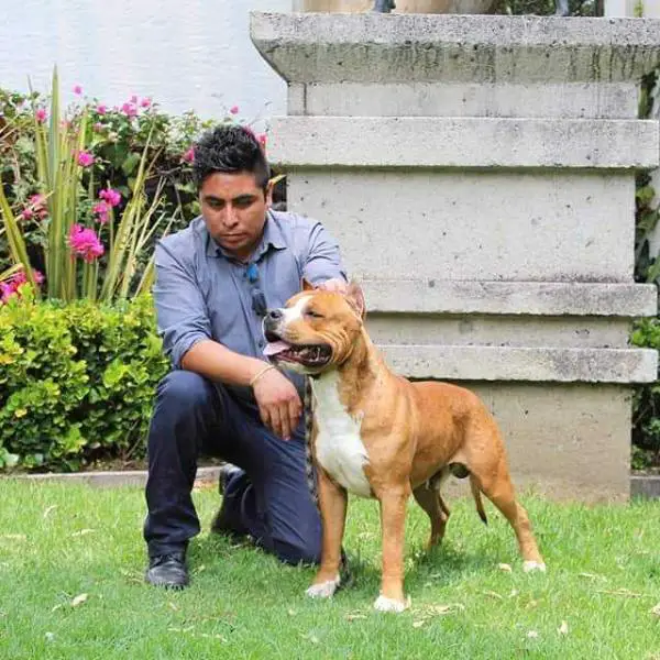 ATTILA RED RHINOCEROS(SEGUNDO)