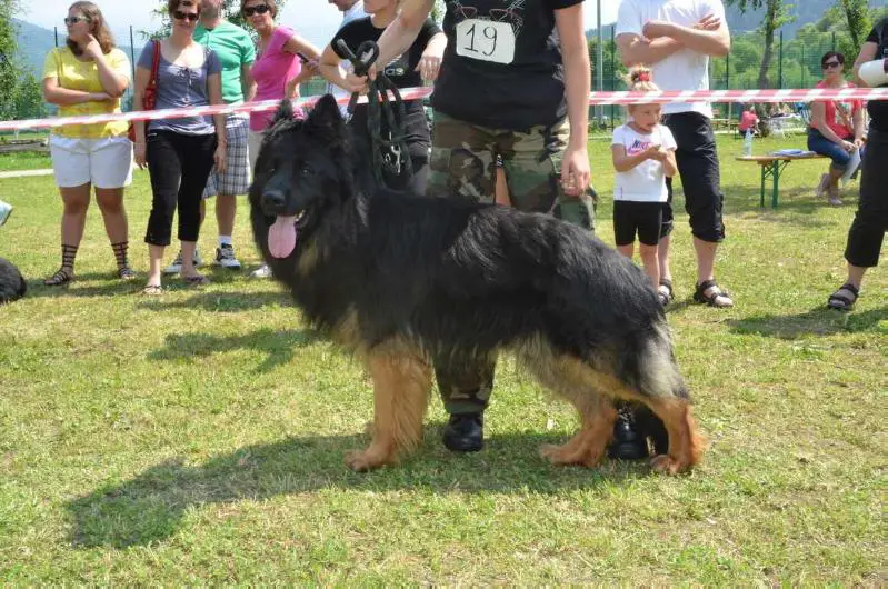 WERAN Diabelski Krąg