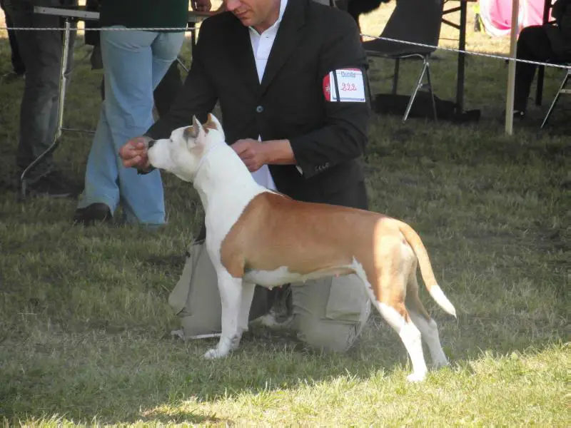 American History X Daisy Duke