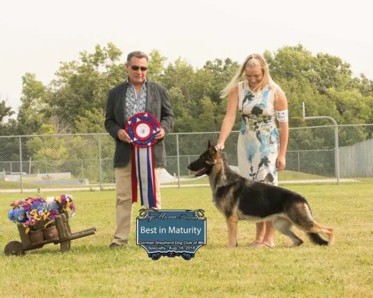 RBIS BIM GCH Qisma Crazytrain Prairieside