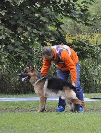 Sg Floky Vitor Lemiselburg