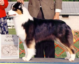 Elite's Back N Black