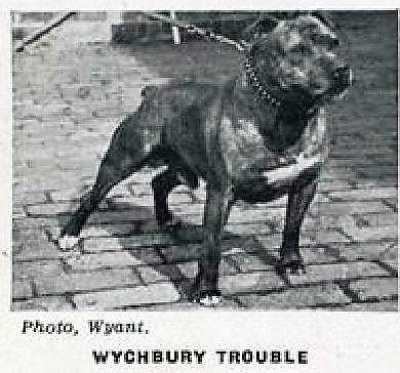 Wychbury Trouble