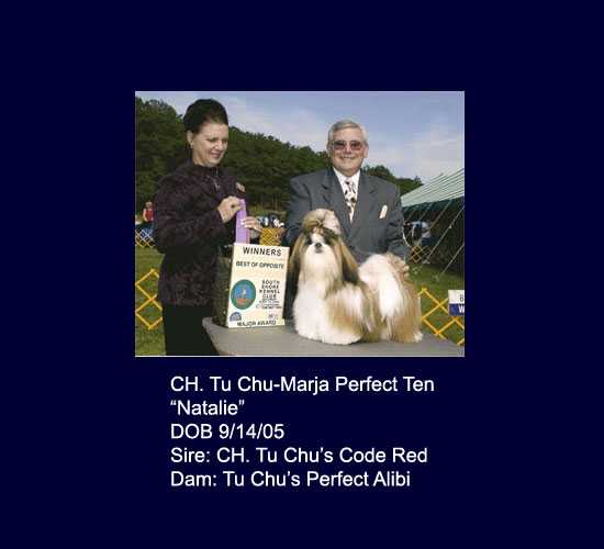 Ch Tu Chu-Marja Perfect Ten