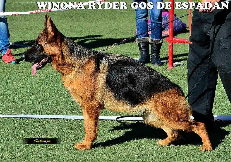 WINONA RYDER GOS DE ESPADAN