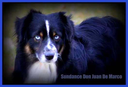 Sundance Don Juan DeMarco