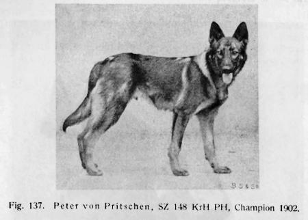 1902 SGR Peter von Pritschen