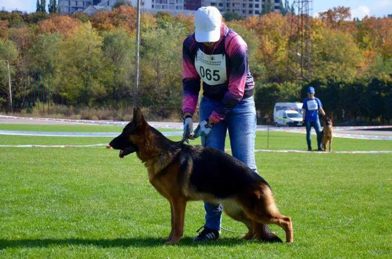 Kiara Kristall Busch