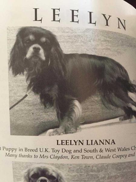 Leelyn Lianna