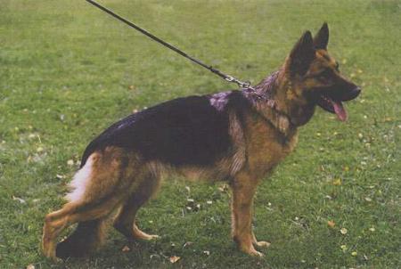 Nanny von der Liedbachquelle