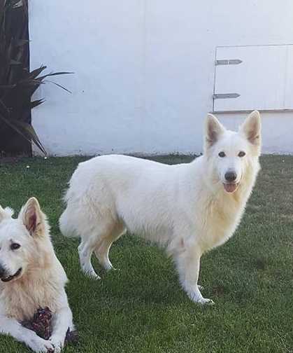 Ema Blancos de Quequen