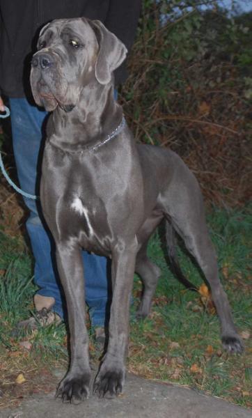 Fallona de l’Outsaïna