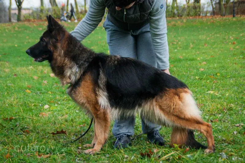 Al-Grom HOSSA