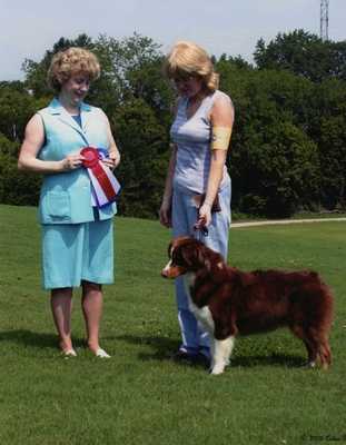 Stormy Lees Touchstone Rose