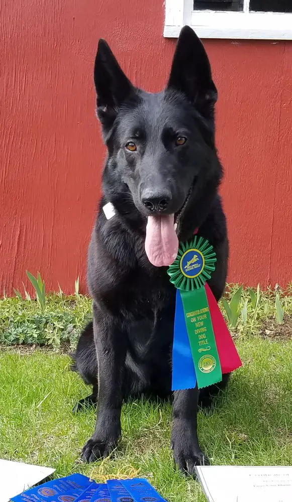 Luna Vom Blumen Der Rose