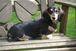 McMillans Sweet n Creamy Eclair ML