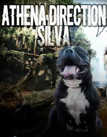 Athena Direction Silva