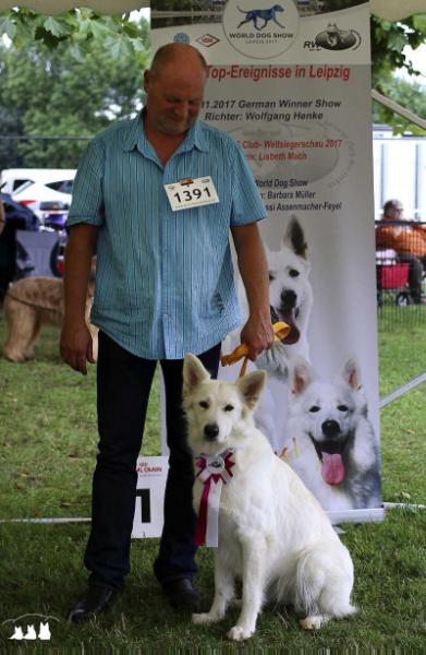 Vega vom Lützelbacher Land