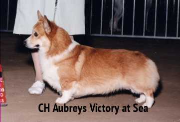 CH AUBREY'S VICTORI AT SEA