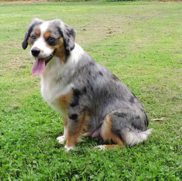 Cedar Valleys Keepin It Magical