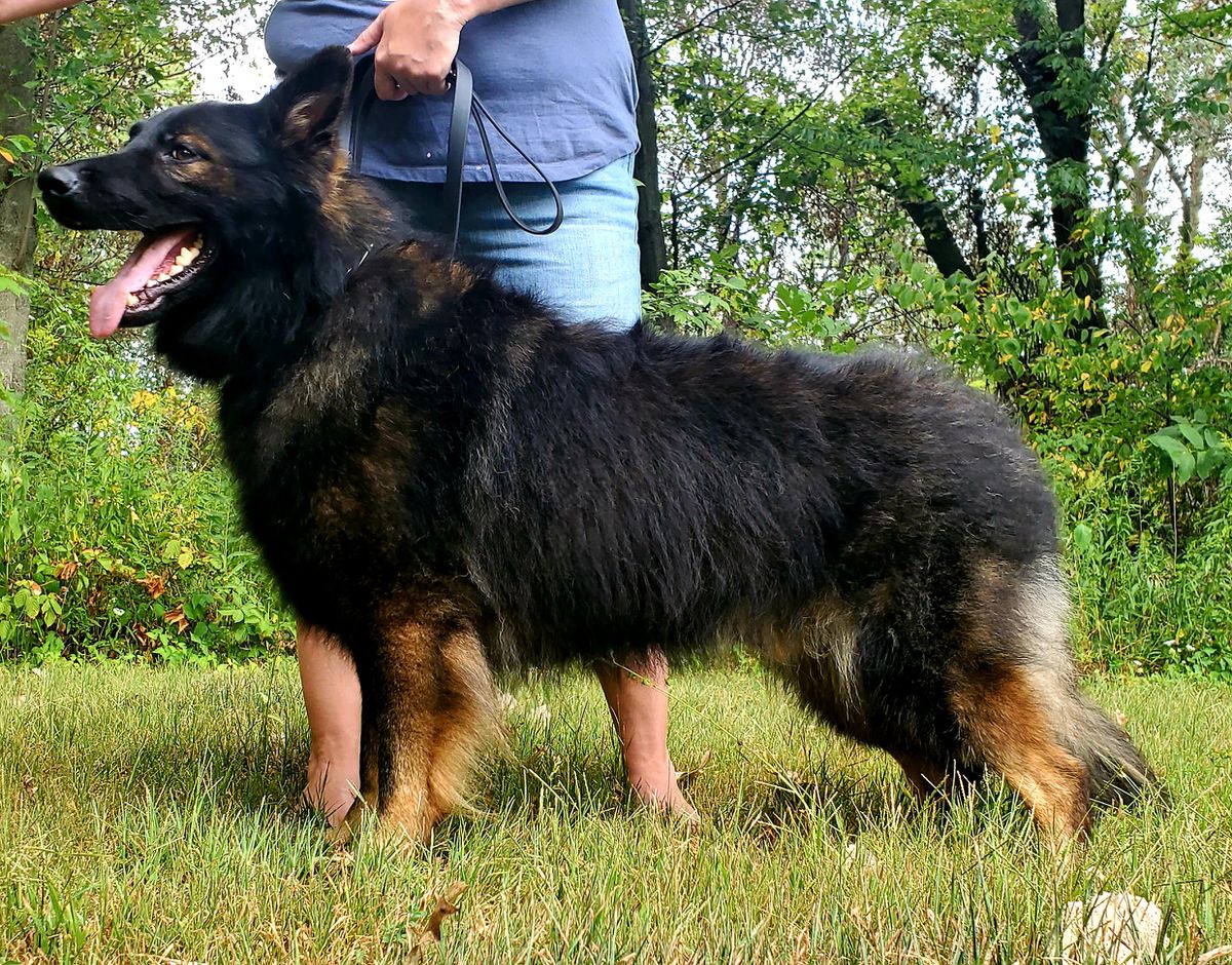 G Warwyck Z Vodnanske Doliny