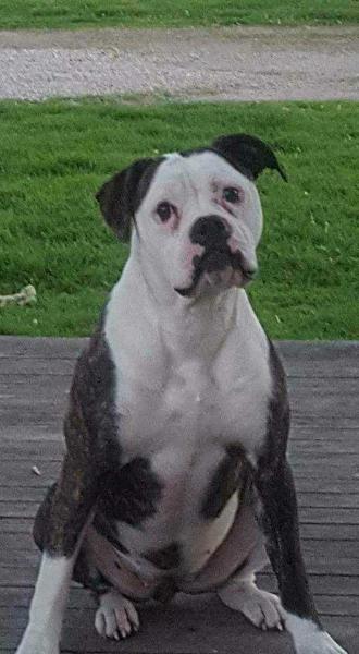 David Brombaugh's Tia