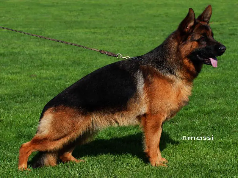 SG 1 Naxos vom Hülsbach