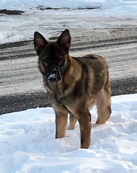 Emmitt's Reckoning JUDGE Von Rojas